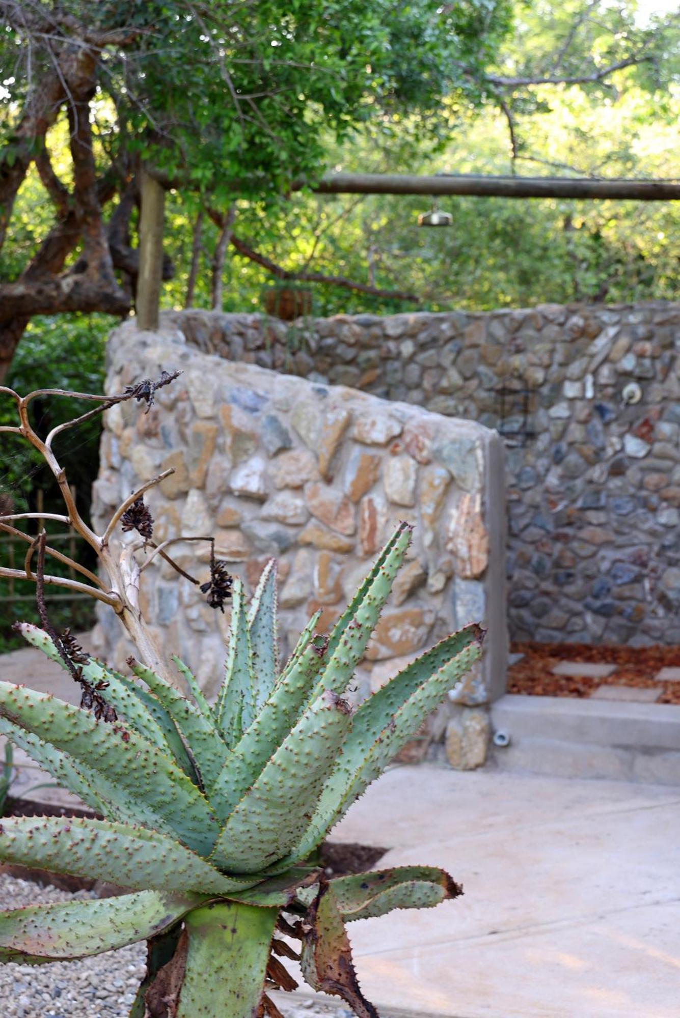 مارلوث بارك Grace Of Africa, Couples 5 Star Nature Lodge المظهر الخارجي الصورة